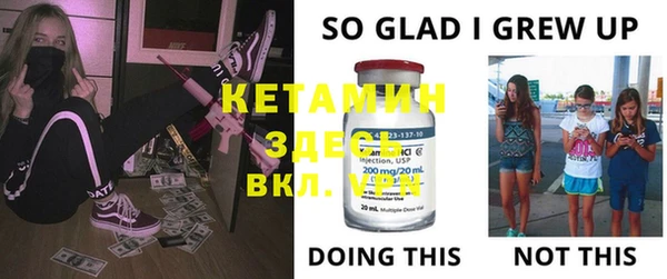 стаф Аркадак