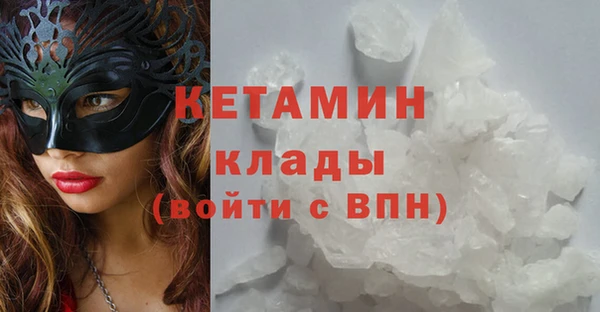 стаф Аркадак