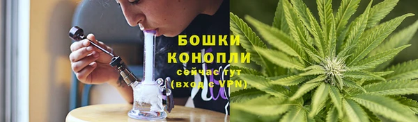 стаф Аркадак