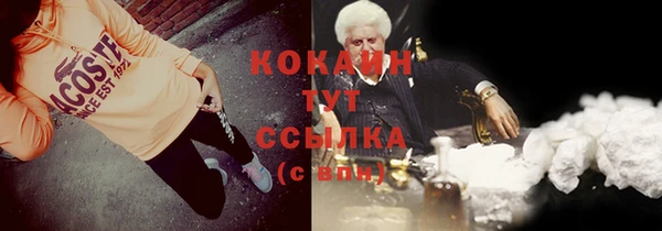 прущий лед Арсеньев