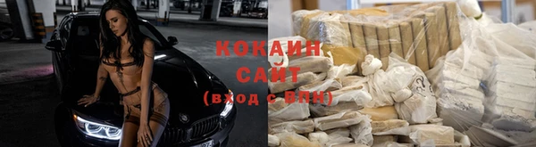 стаф Аркадак