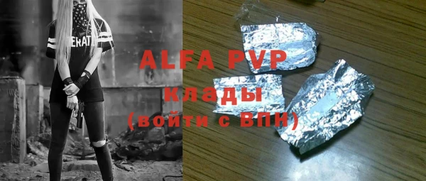 стаф Аркадак