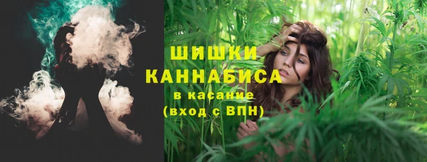 стаф Аркадак