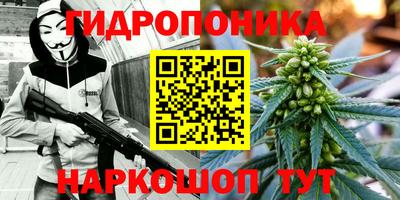 гидра Краснокаменск