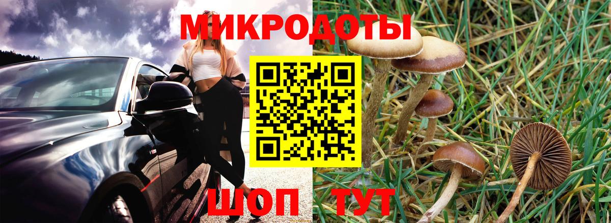 Галлюциногенные грибы Magic Shrooms  Галлюциногенные грибы Psilocybine cubensis  Вход с VPN  Лениногорск 