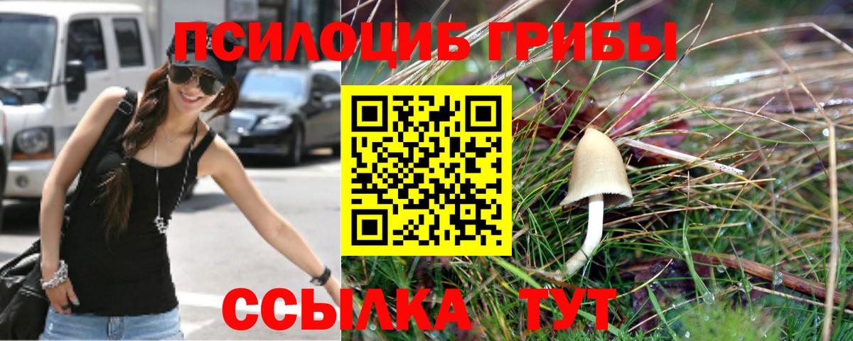 Галлюциногенные грибы Psilocybine cubensis Лениногорск
